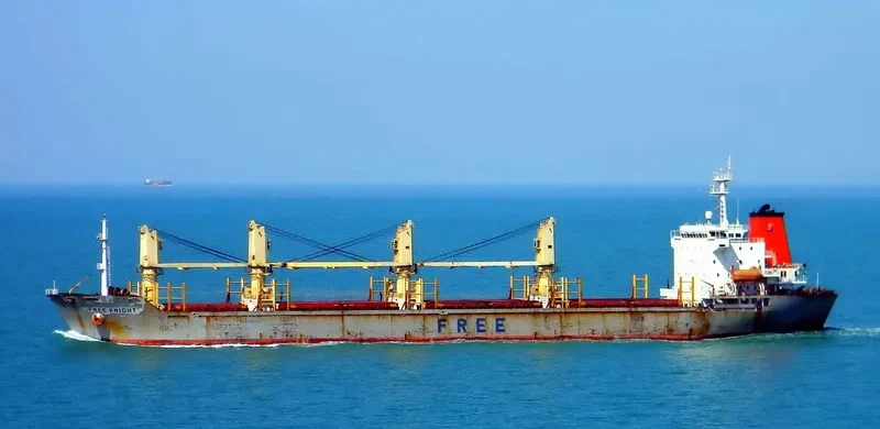 DECENT Bulk Carrier IMO 9138707 photo 9