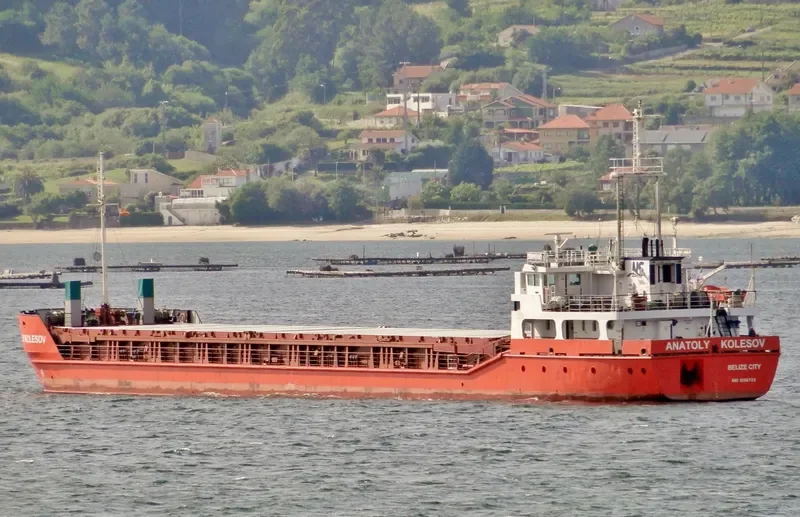 ANATOLY KOLESOV General Cargo IMO 9138733 photo 3