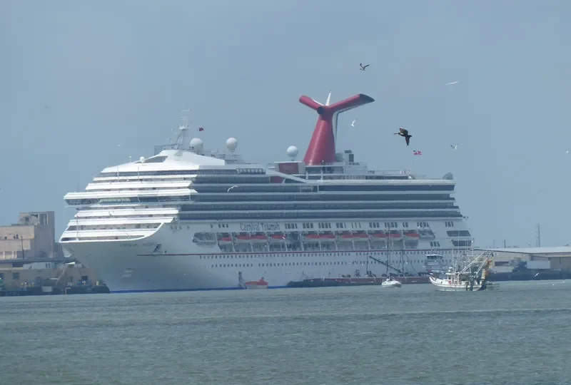 CARNIVAL SUNRISE Passenger Ship IMO 9138850 photo 10