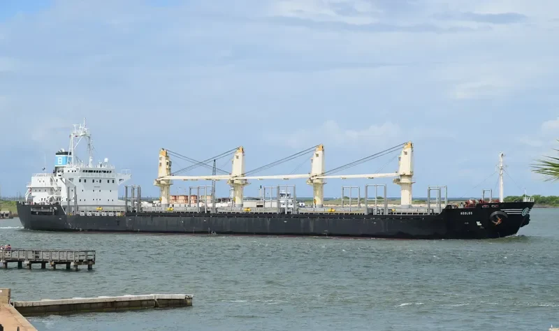 AKIJ OCEAN Bulk Carrier IMO 9138862