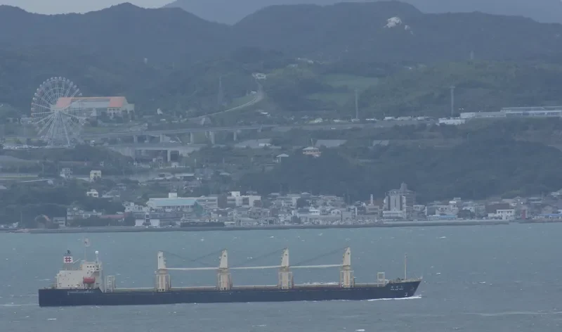 RUN FU 3 Bulk Carrier IMO 9138903 photo 2