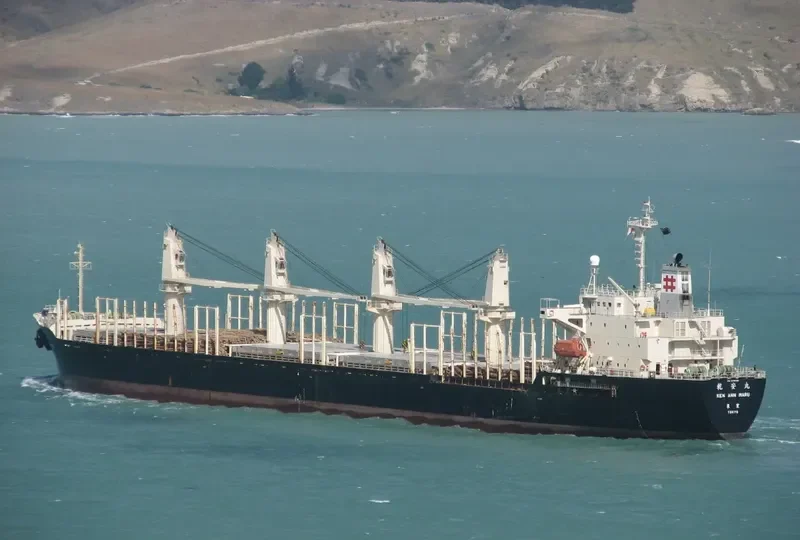 RUN FU 3 Bulk Carrier IMO 9138903 photo 4