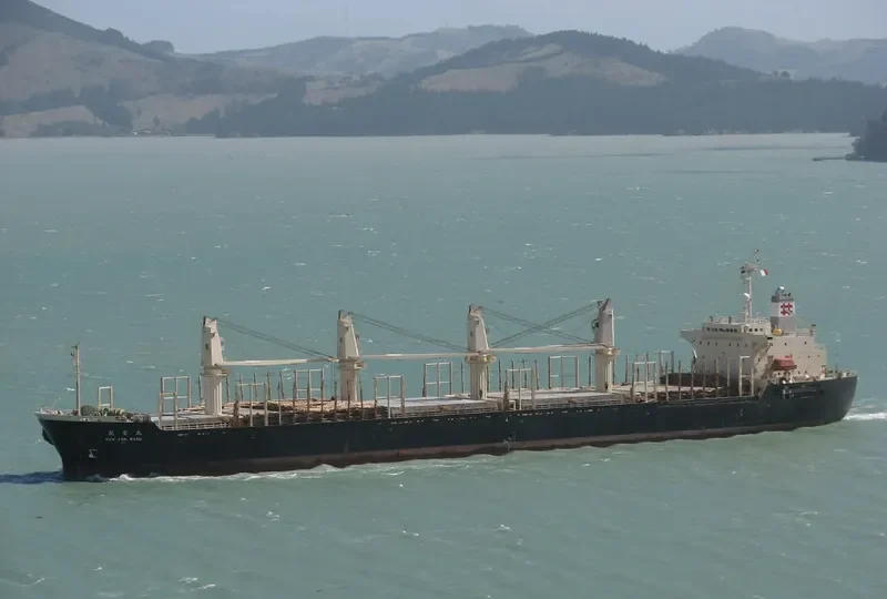 RUN FU 3 Bulk Carrier IMO 9138903 photo 5