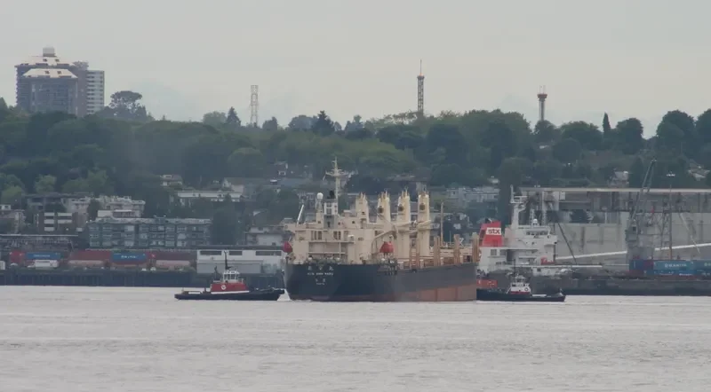 RUN FU 3 Bulk Carrier IMO 9138903 photo 6