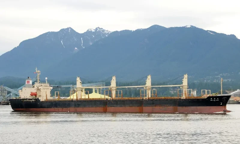 RUN FU 3 Bulk Carrier IMO 9138903 photo 8