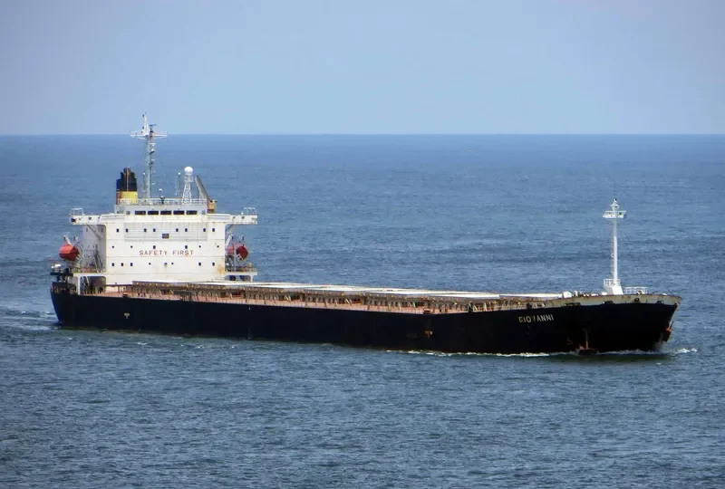 GIOVANNI Bulk Carrier IMO 9138915 photo 3