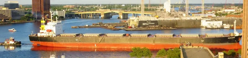 GIOVANNI Bulk Carrier IMO 9138915 photo 7