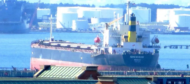 GIOVANNI Bulk Carrier IMO 9138915 photo 9
