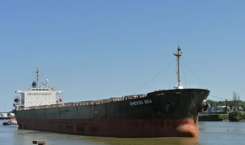 SHEKOU SEA Bulk Carrier IMO 9138927