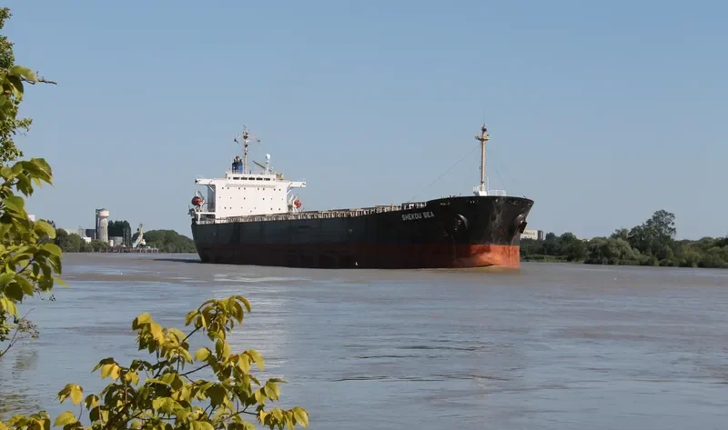 SHEKOU SEA Bulk Carrier IMO 9138927 photo 5