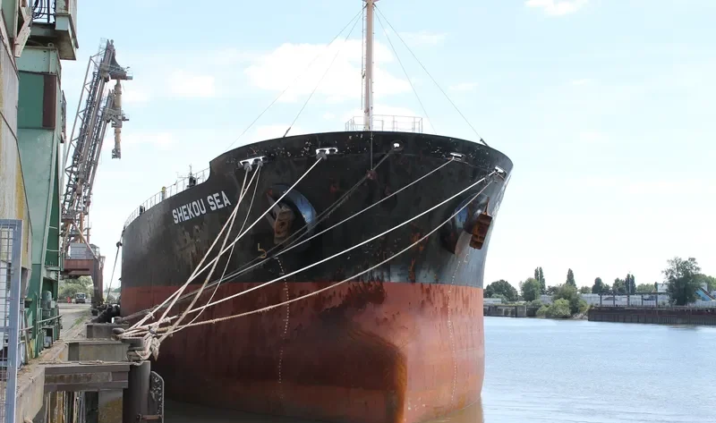 SHEKOU SEA Bulk Carrier IMO 9138927 photo 6
