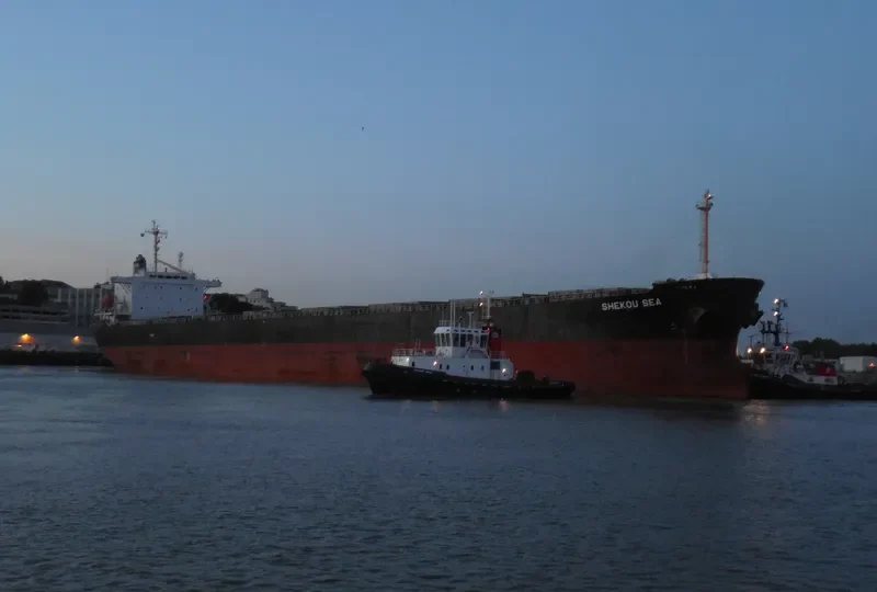 SHEKOU SEA Bulk Carrier IMO 9138927 photo 8
