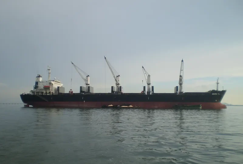 MARIA T.L. Bulk Carrier IMO 9138939 photo 7