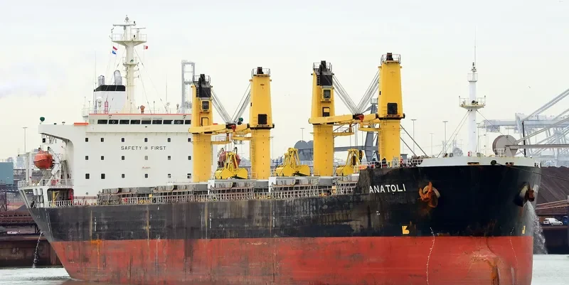 ANATOLI Bulk Carrier IMO 9138941 photo 3