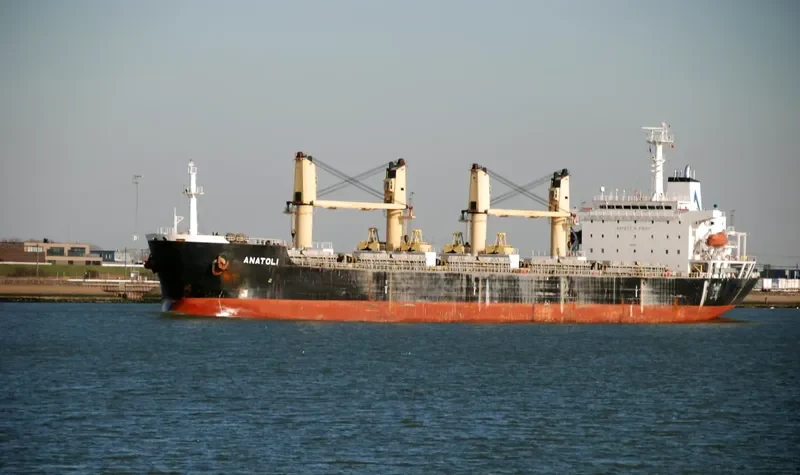 ANATOLI Bulk Carrier IMO 9138941 photo 4