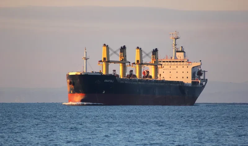 ANATOLI Bulk Carrier IMO 9138941 photo 8