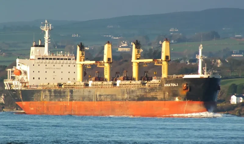 ANATOLI Bulk Carrier IMO 9138941 photo 10