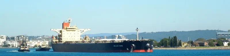 MELLOW WIND Bulk Carrier IMO 9138965