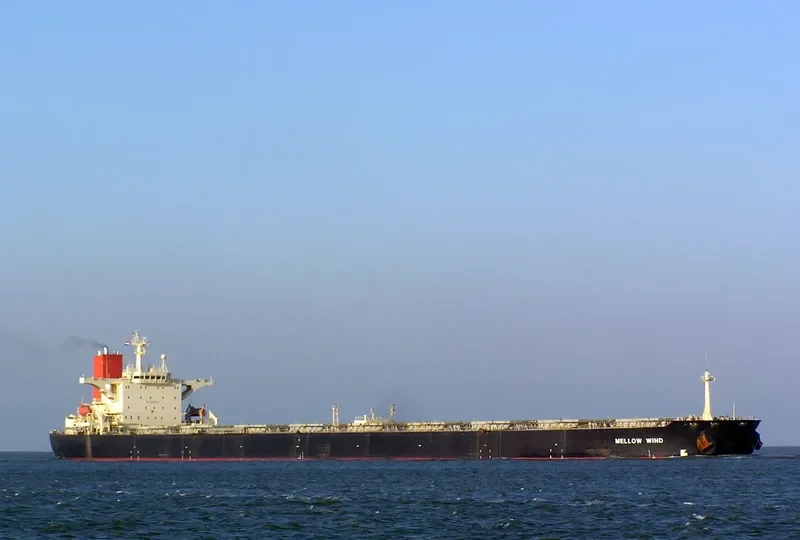 MELLOW WIND Bulk Carrier IMO 9138965 photo 2