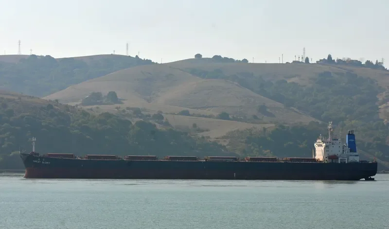 GREAT GLORY Bulk Carrier IMO 9138989 photo 2