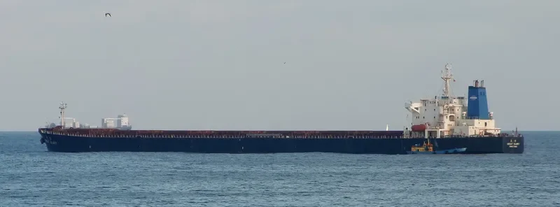 GREAT GLORY Bulk Carrier IMO 9138989 photo 5