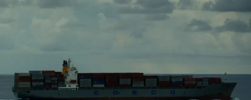 NAXIHE Container Ship IMO 9139024 photo 7
