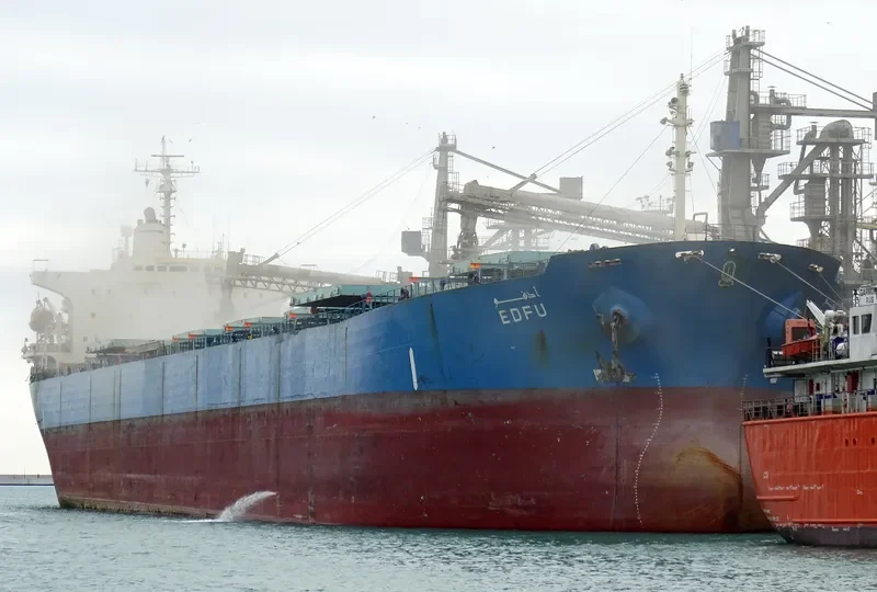 EDFU Bulk Carrier IMO 9139256