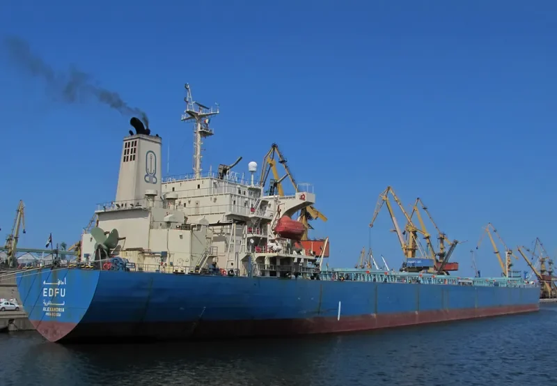 EDFU Bulk Carrier IMO 9139256 photo 5