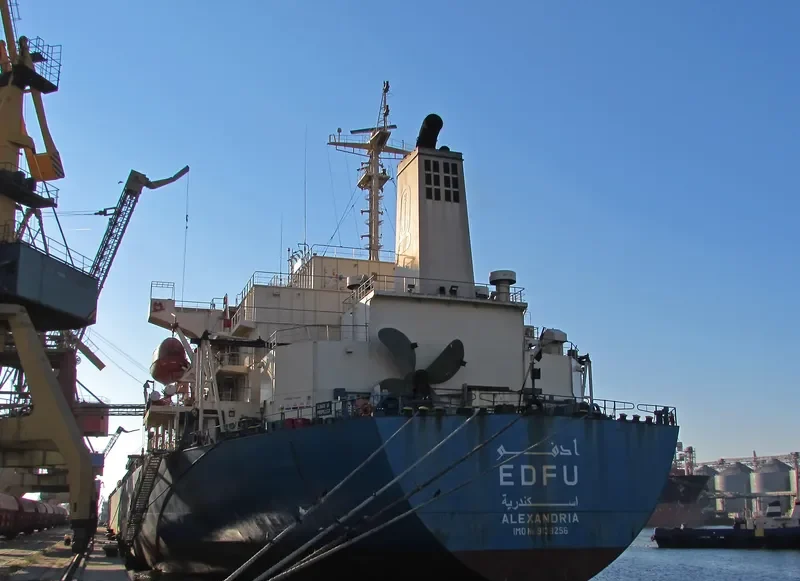 EDFU Bulk Carrier IMO 9139256 photo 6