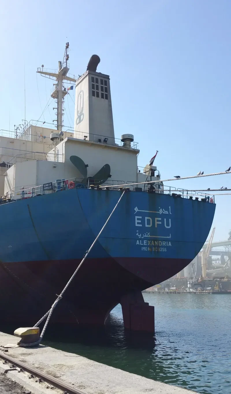 EDFU Bulk Carrier IMO 9139256 photo 7