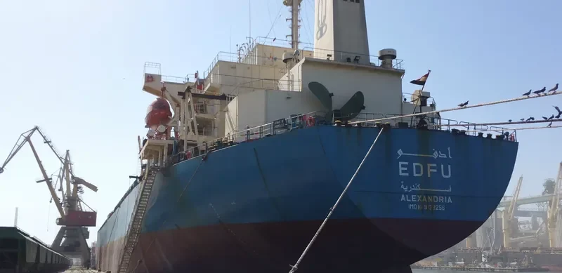 EDFU Bulk Carrier IMO 9139256 photo 8