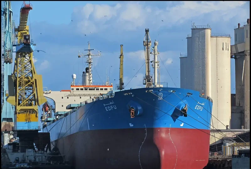 EDFU Bulk Carrier IMO 9139256 photo 9