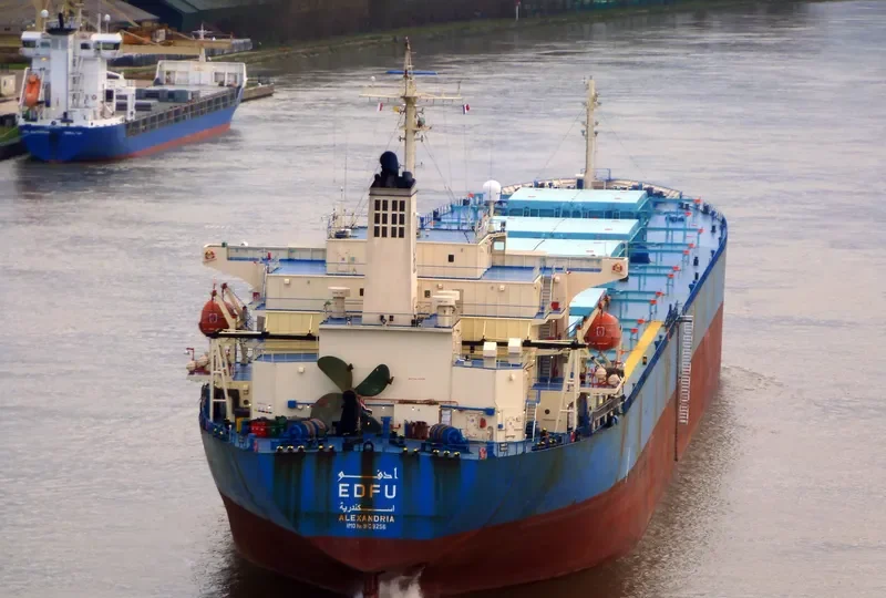 EDFU Bulk Carrier IMO 9139256 photo 10