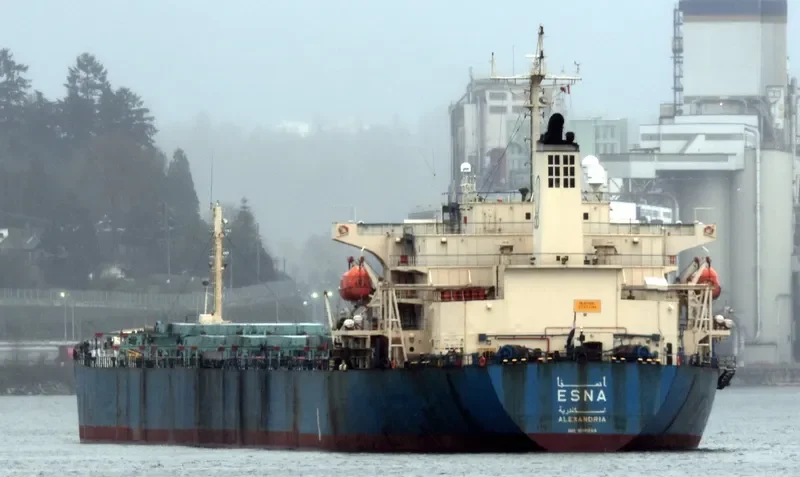 ESNA Bulk Carrier IMO 9139268 photo 6