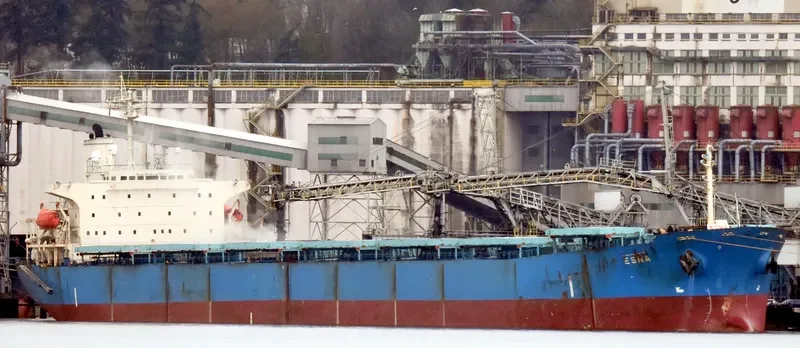 ESNA Bulk Carrier IMO 9139268 photo 7