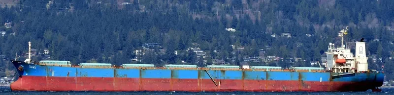 ESNA Bulk Carrier IMO 9139268 photo 8