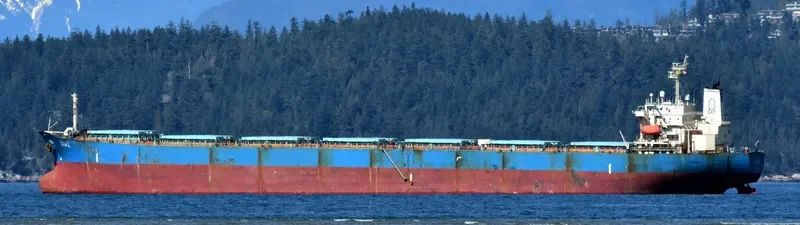 ESNA Bulk Carrier IMO 9139268 photo 9