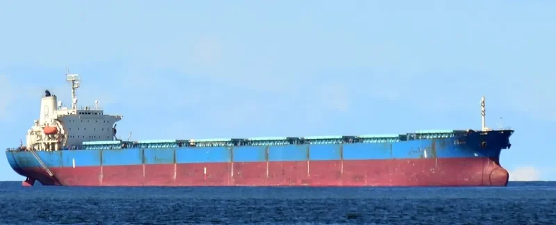 ESNA Bulk Carrier IMO 9139268 photo 10