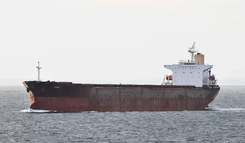 ANDHIKA PARAMESTI Bulk Carrier IMO 9139282 photo 2