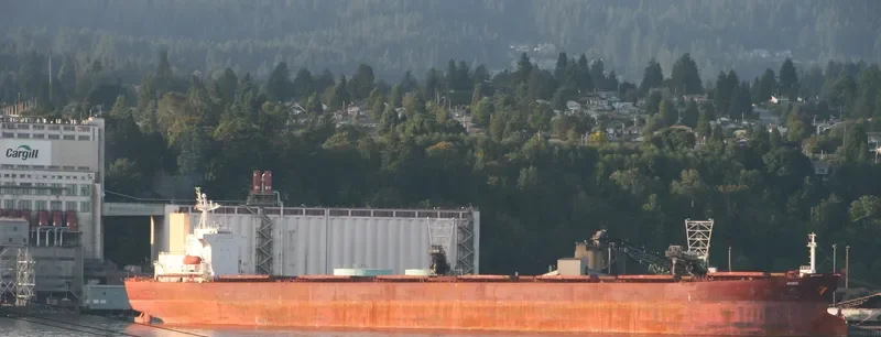 ANDHIKA PARAMESTI Bulk Carrier IMO 9139282 photo 4