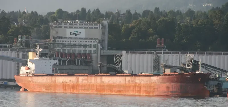 ANDHIKA PARAMESTI Bulk Carrier IMO 9139282 photo 5