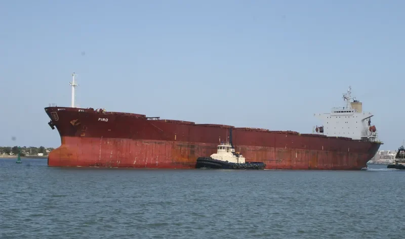 ANDHIKA PARAMESTI Bulk Carrier IMO 9139282 photo 7