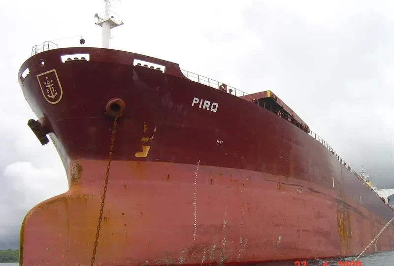 ANDHIKA PARAMESTI Bulk Carrier IMO 9139282 photo 8