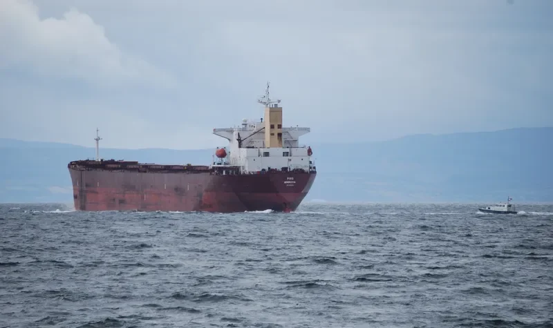 ANDHIKA PARAMESTI Bulk Carrier IMO 9139282 photo 9