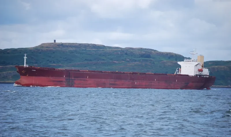 ANDHIKA PARAMESTI Bulk Carrier IMO 9139282 photo 10