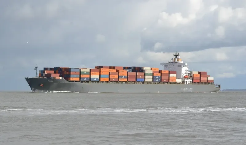 SAN Container Ship IMO 9139488 photo 3