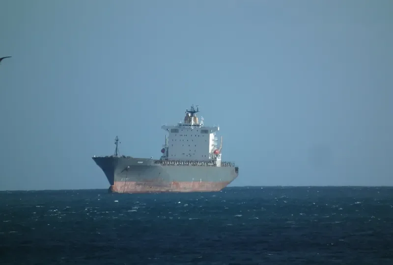 SAN Container Ship IMO 9139488 photo 5
