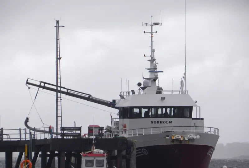 VLADIMIR PETROV General Cargo IMO 9139567 photo 3