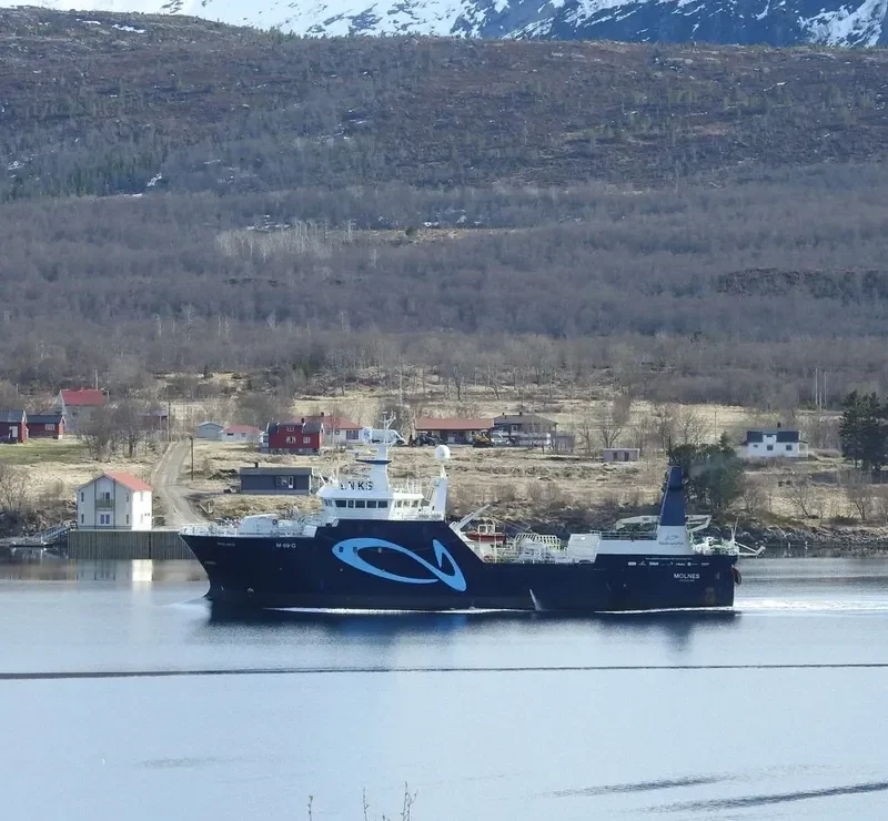 MOLNES General Cargo IMO 9139608 photo 5