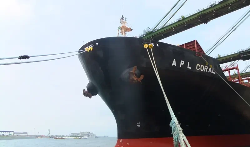 APL CORAL Container Ship IMO 9139749 photo 4